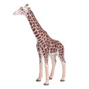 Mojö 381008 - Giraffe Male
