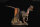 REBOR 166499 - 1:35 Adult/1:11±1 Juvenile Female Dilophosaurus Oasis *1