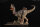 REBOR 166499 - 1:35 Adult/1:11±1 Juvenile Female Dilophosaurus Oasis *1