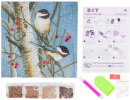 Craft Buddy CAK-A76 - Framed Crystal Art Kit - Vögel