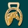 Rio Rondo HB835g - Verzierung Horsehead large - goldfarben