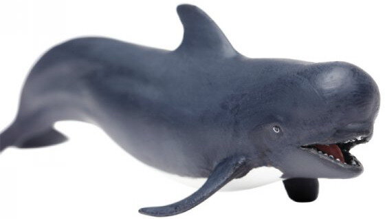 Pilot Whale Safari Ltd # 205629 Ocean Mammal Animal Replica for sale online 