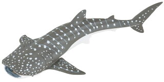 Papo 56046 - Young whale shark