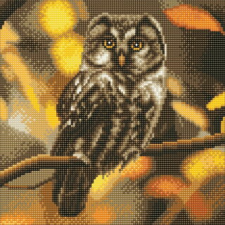 Craft Buddy CAK-A97M - Framed Crystal Art Kit - Eule