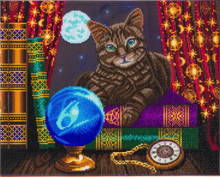Craft Buddy CAK-XLED17 - Framed Crystal Art Kit LED - Fortune Teller