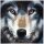 Craft Buddy CAK-A91M - Framed Crystal Art Kit - Wolf