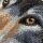 Craft Buddy CAK-A91M - Framed Crystal Art Kit - Wolf