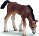Schleich 13652 - Arabian Foal grazing