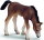 Schleich 13652 - Araber Fohlen, grasend
