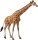CollectA 88534 - Netzgiraffe