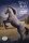 Breyer Classic (1:12) 6136 - Wild Blue
