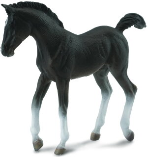 CollectA 88452 - Tennessee Walking Horse Foal Black
