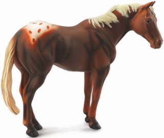 CollectA 88436 - Chestnut Appaloosa Hengst