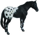 CollectA 88437 - Black Appaloosa Stallion