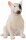 CollectA 88385 - Bull Terrier female