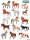 Breyer Activiity Set 4120 -  H is for Horse Coloring Book with Stickers