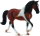 CollectA 88450 - Tennessee Walking Horse Bay Pinto