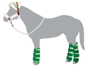 Breyer Traditional (1:9) 2062 - Transportset (ohne Pferd)