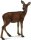 CollectA 88470 - Red Deer Hind