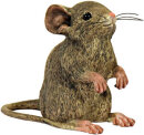 MPV Resin Line 5266 - Mouse standing (brown)