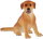 Bullyland 65446 - Labrador Jenny