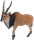 CollectA 88563 - Giant Eland Antelope (Lord Derby eland )