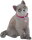 Bullyland 66372 - Russian Blue Minou