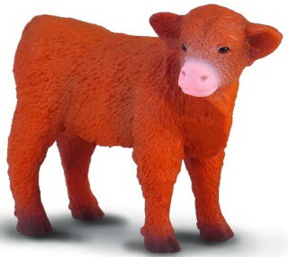 CollectA 88233 - Highland Calf standing
