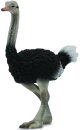 CollectA 88459 - Ostrich