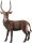 CollectA 88562 - Wasserbock