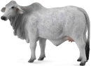 CollectA 88580 - Brahman Cow