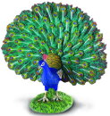CollectA 88209 - Peacock