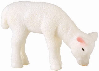 CollectA 88393 - Lamm grasend