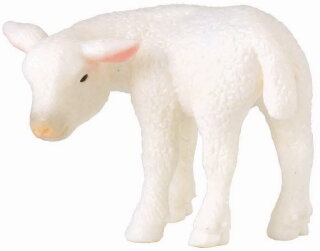 CollectA 88392 - Lamm zurückblickend