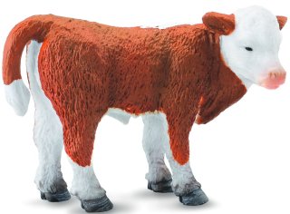 CollectA 88236 - Hereford Calf standing