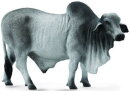 CollectA 88579 - Brahman Bull