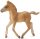 CollectA 88517 - Haflinger Foal Walking