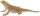CollectA 88567 - Bearded Dragon Lizard