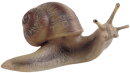Bullyland 64375 - Vineyard Snail (Burgundy Snail)