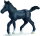 Schleich 13294 - Lipizzaner Fohlen