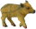 CollectA 88365 - Wild Piglet walking