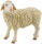 Bullyland 62320 - Schaf