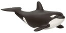 Schleich 14836 - Baby Orca
