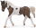 CollectA 88780 - Curly Mare (Brown Pinto)