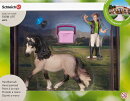 Schleich 42270 - Horse Care Set Andalusian