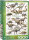 eurographics 6000-0098 - Dinosuars of the Cretaceous (Puzzle with 1000 pieces)