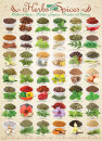 eurographics 6000-0598 - Herbs and Spices (Puzzle with...