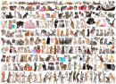 eurographics 6000-0580 - The World of Cats (Puzzle with...