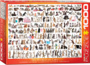 eurographics 6000-0580 - The World of Cats (Puzzle with 1000 pieces)