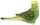 Bullyland 69381 - Budgie